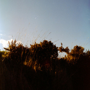 Gardens by amies