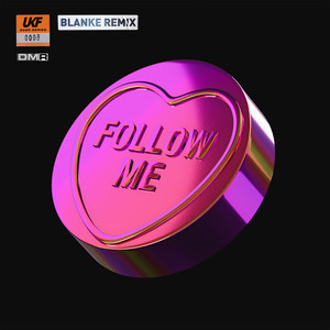 Follow Me - Blanke Remix album art