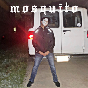 mosquito