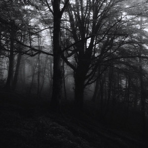 End of Small Sanctuary by Kaap