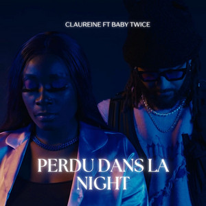 Perdu Dans La Night
