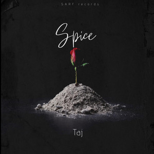 Taj - Spice (feat. DDawg)
