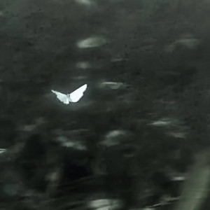 yous1f - L.E.S. instrumental