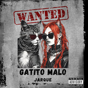 Gatito malo