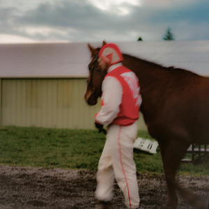 Seabiscuit by Jonny's Day Out