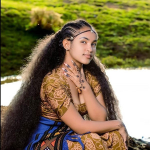 Mega Kinetbebat - shewaye