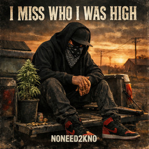 I Miss Who I Was High by NONEED2KNO