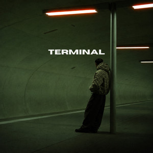 Terminal by Xane, Vee