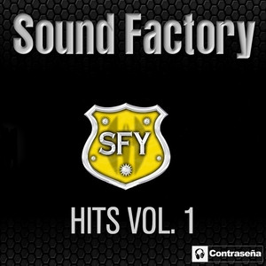 Sound Factory IX - I Need You