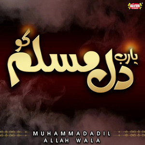 Muhammad Adil Allah Wala - Ramzan Ka Mahina