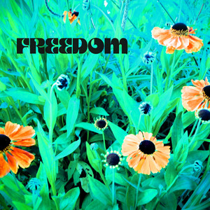 Freedom by Netuno Music