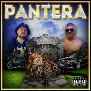 PANTERA by Crispy Beats, KOCKATA, Vidrata