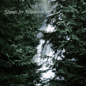 Nature Waterfall: Sounds for Relaxation Vol. 2 album