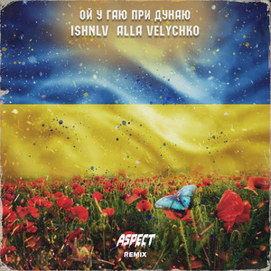 Обкладинка: Ой у гаю при Дунаю - Aspect Remix