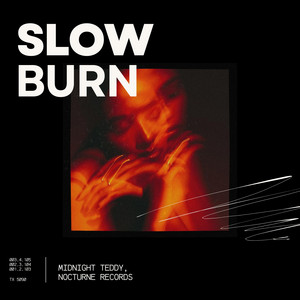 Slow Burn by Midnight Teddy
