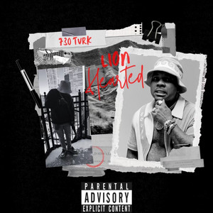 Lionhearted by 730turk