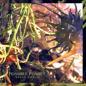 Possible Planet — Steve Roach