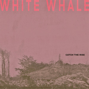 White Whale by Catch the Rise