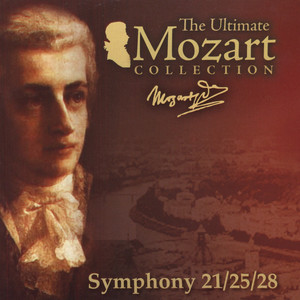 Symphony No. 25 in G Minor, K. 183: I. Allegro con brio