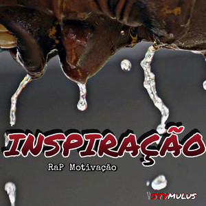 Stymulus - Inspiração