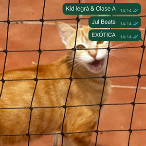 EXÓTICA