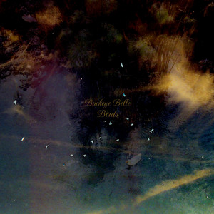 Buckeye Belle - Birds