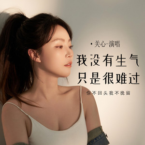 我没有生气只是很难过 (你不回头我不挽留) by 关心