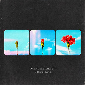 Different Kind by Paradise Valley