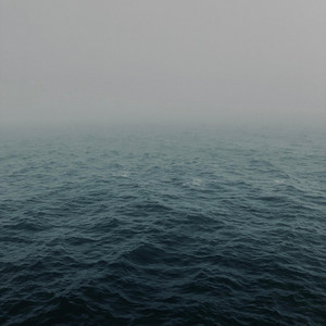 Driftwood (Noise) by Kinoko