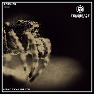 Normo/Who Are You cover art