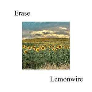 Erase by Lemonwire