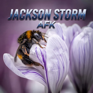 Coffee Break by Jackson Storm AFK
