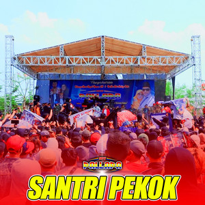 Santri Pekok