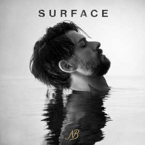 Surface by Nick Barrett