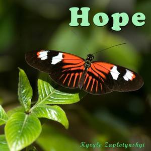 Kyrylo Zaplotynskyi — Hope