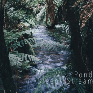 Sleepy Stream III by Mill Pond
