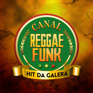 canal reggae funk hit da galera - melo de movimenta reggae funk 2025