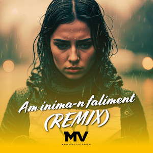 Manelele Viitorului - Am inima-n faliment (Remix)