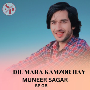 Sp Gb - Dil Mara Kamzor Hay (feat. Muneer Sagar)