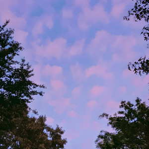 From Here by coldroses