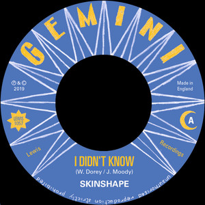 I Didn't Know - Dub Version by Skinshape