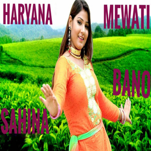 Sahil Sayer Mewati - Haryana Mewati Sahina BANO