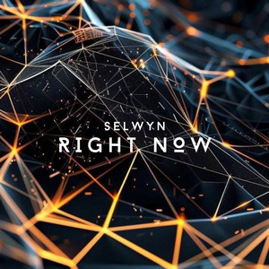 Right Now (Radio edit) by Selwyn