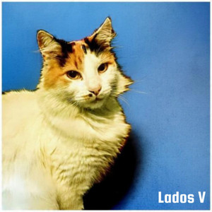 Panky Madrid - Barf!