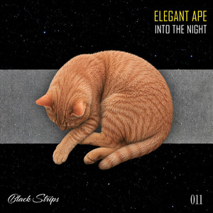 Into the Night by Elegant Ape