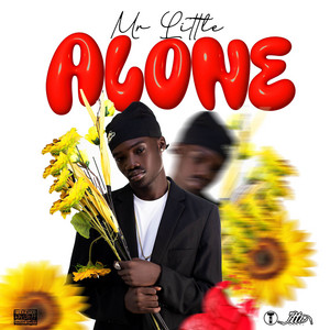 Mr. Little - Alone