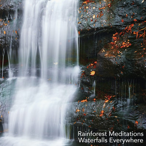 Rainforest Waterfall by Lyoi