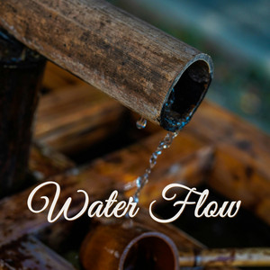 Water Flow by Ulysses Nelson