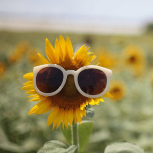 Deez gram - Summer blaze (volume 1)