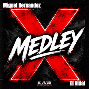 X by Miguel Hernandez, El Vidal